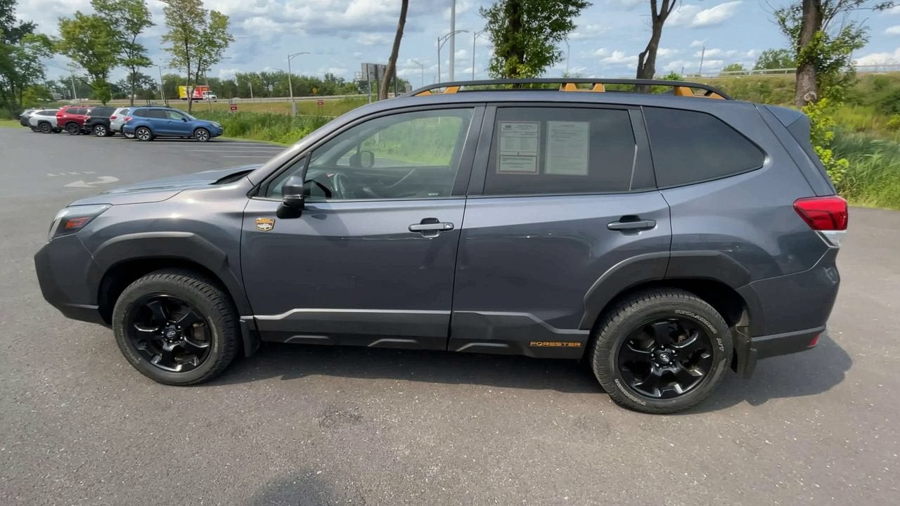 2024 Subaru Forester Wilderness