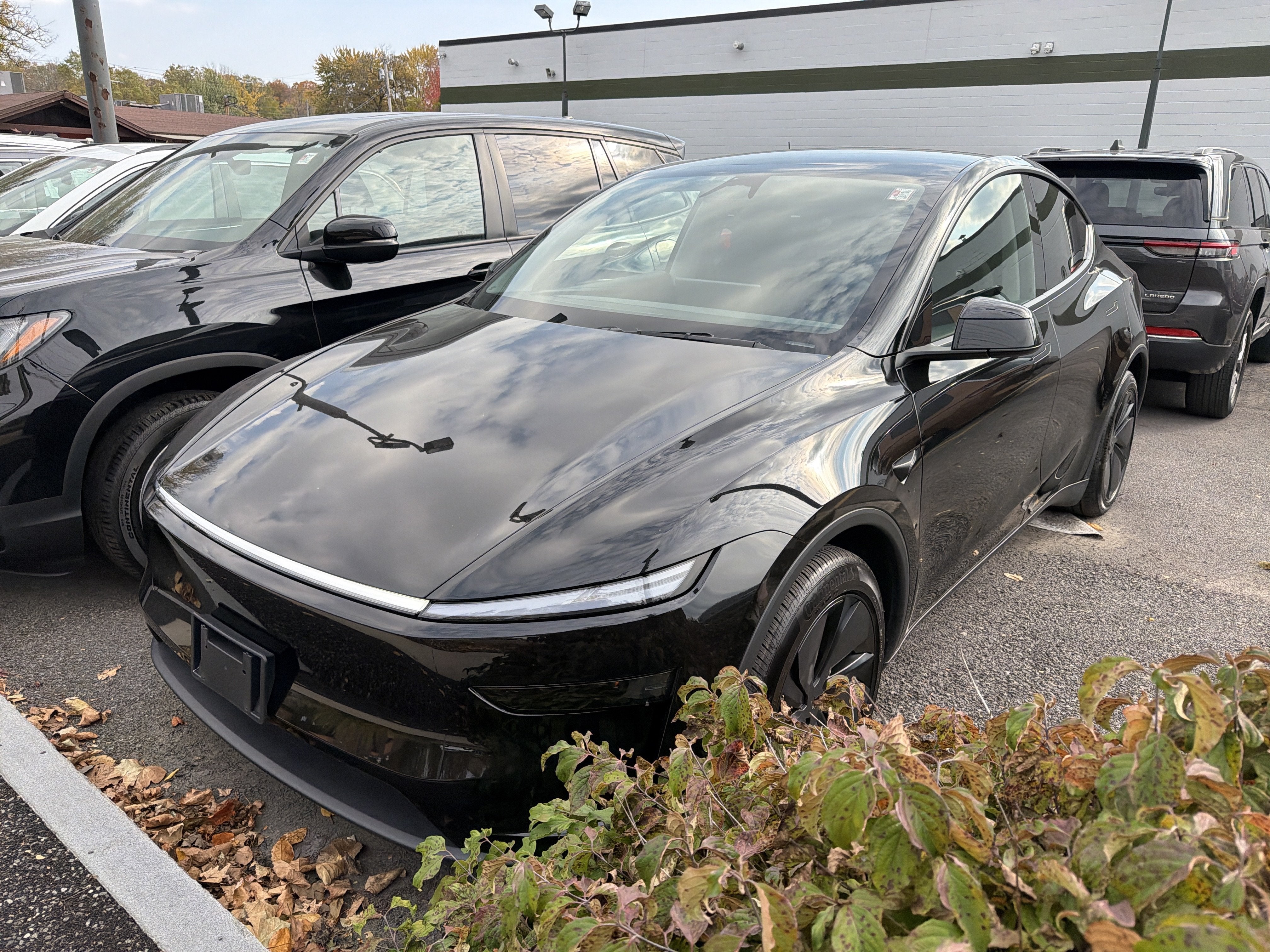2026 Tesla Model Y Base