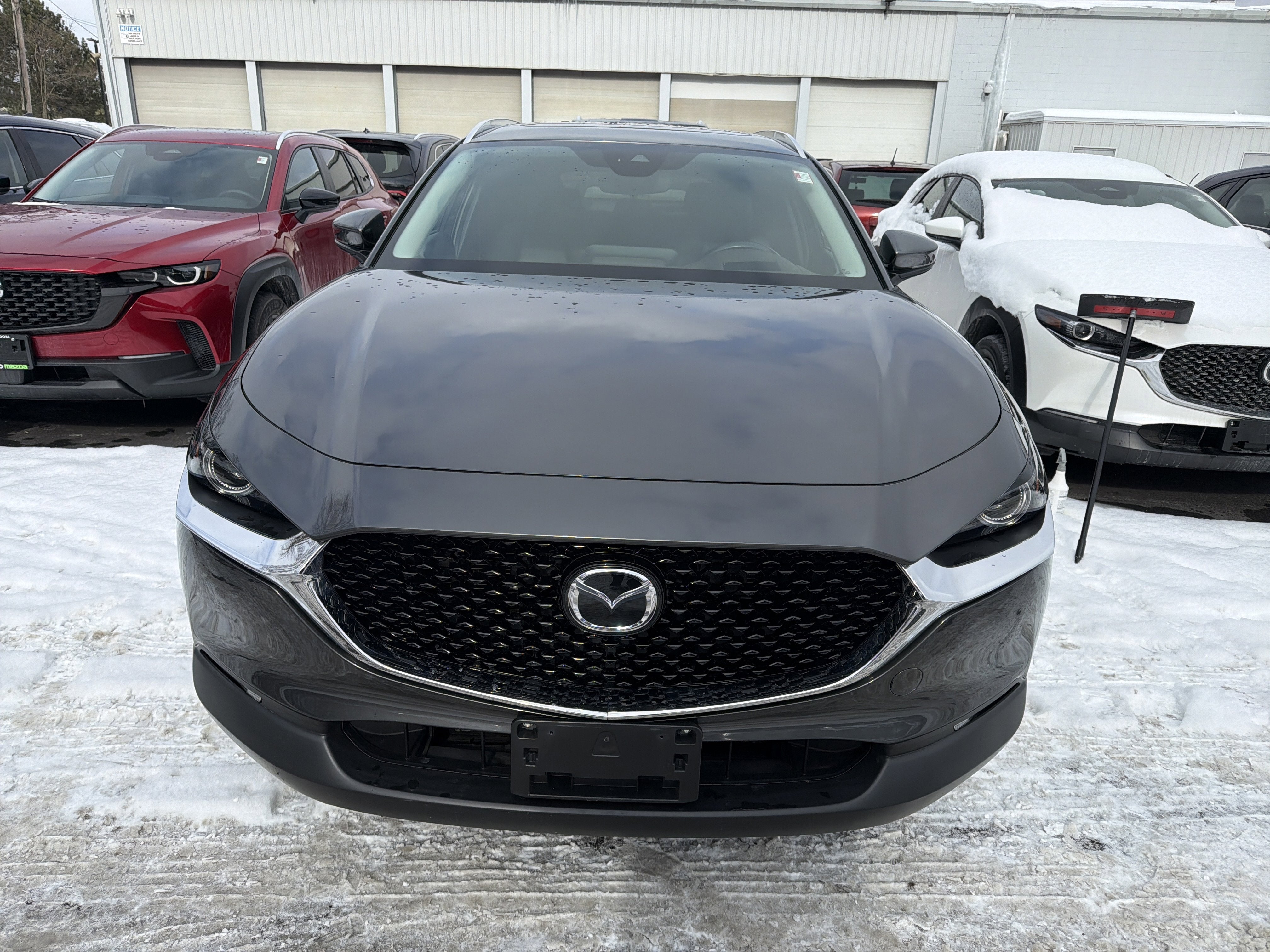 2022 Mazda Mazda CX-30 2.5 S Premium Package