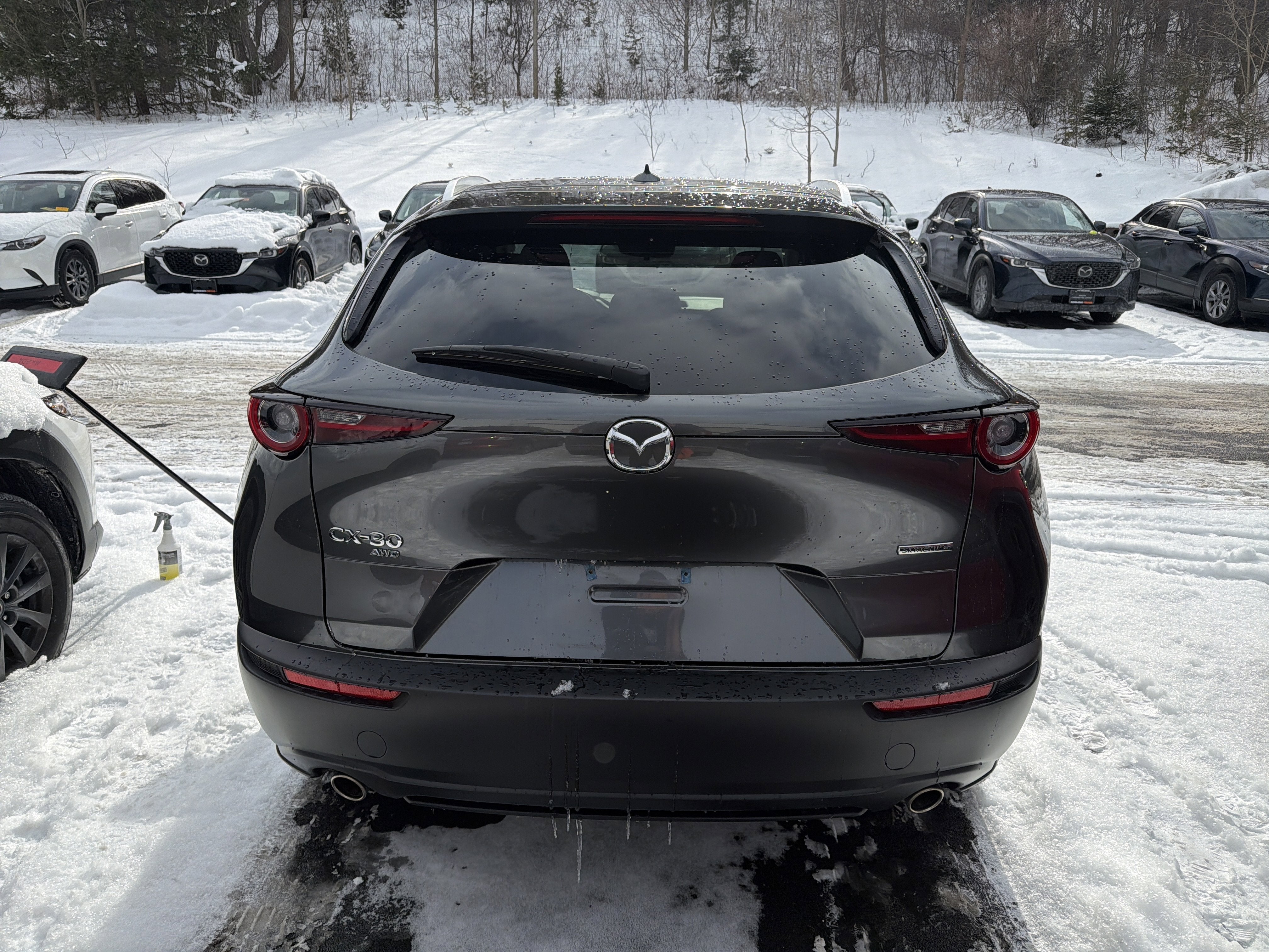2022 Mazda Mazda CX-30 2.5 S Premium Package