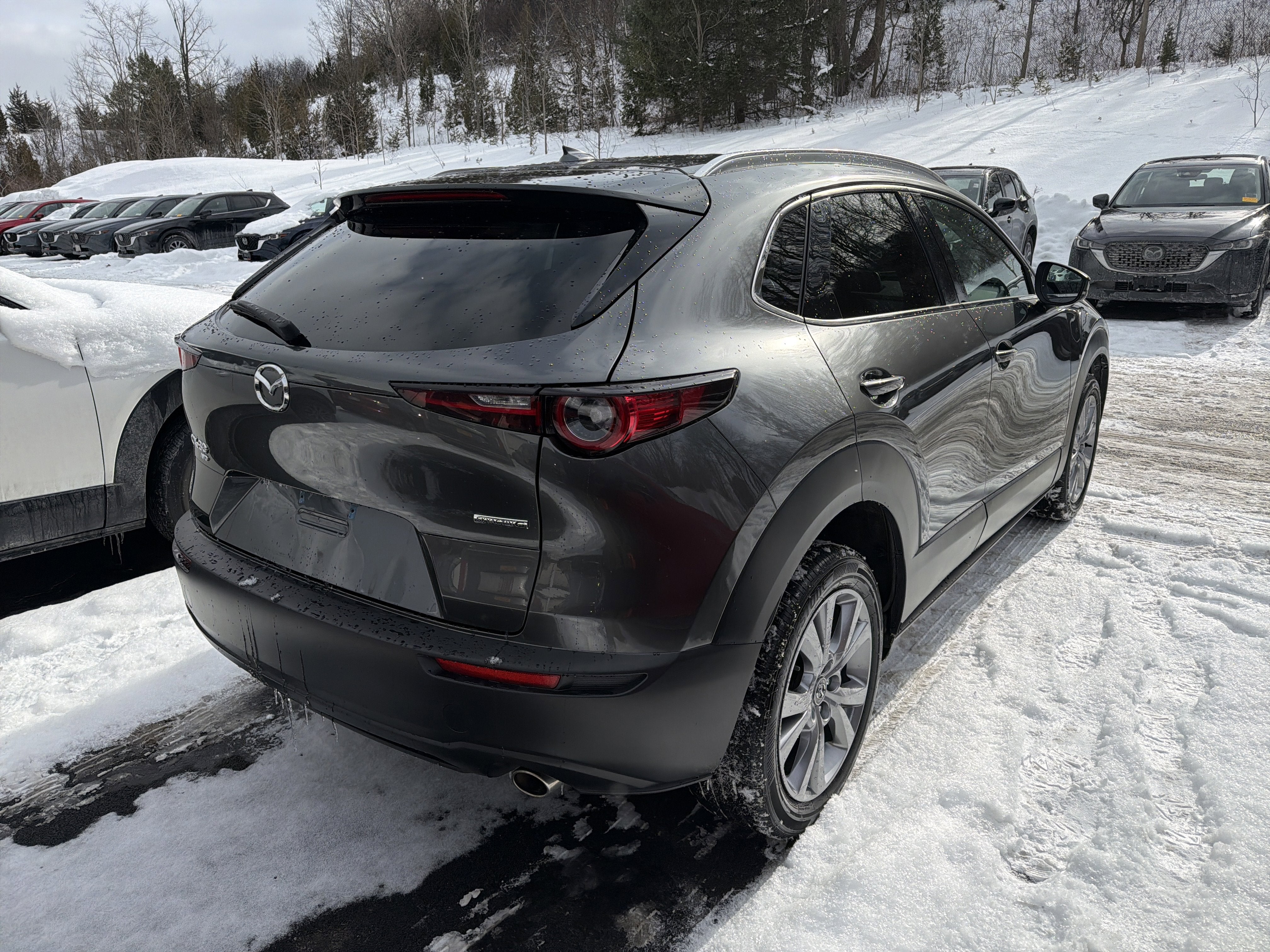 2022 Mazda Mazda CX-30 2.5 S Premium Package