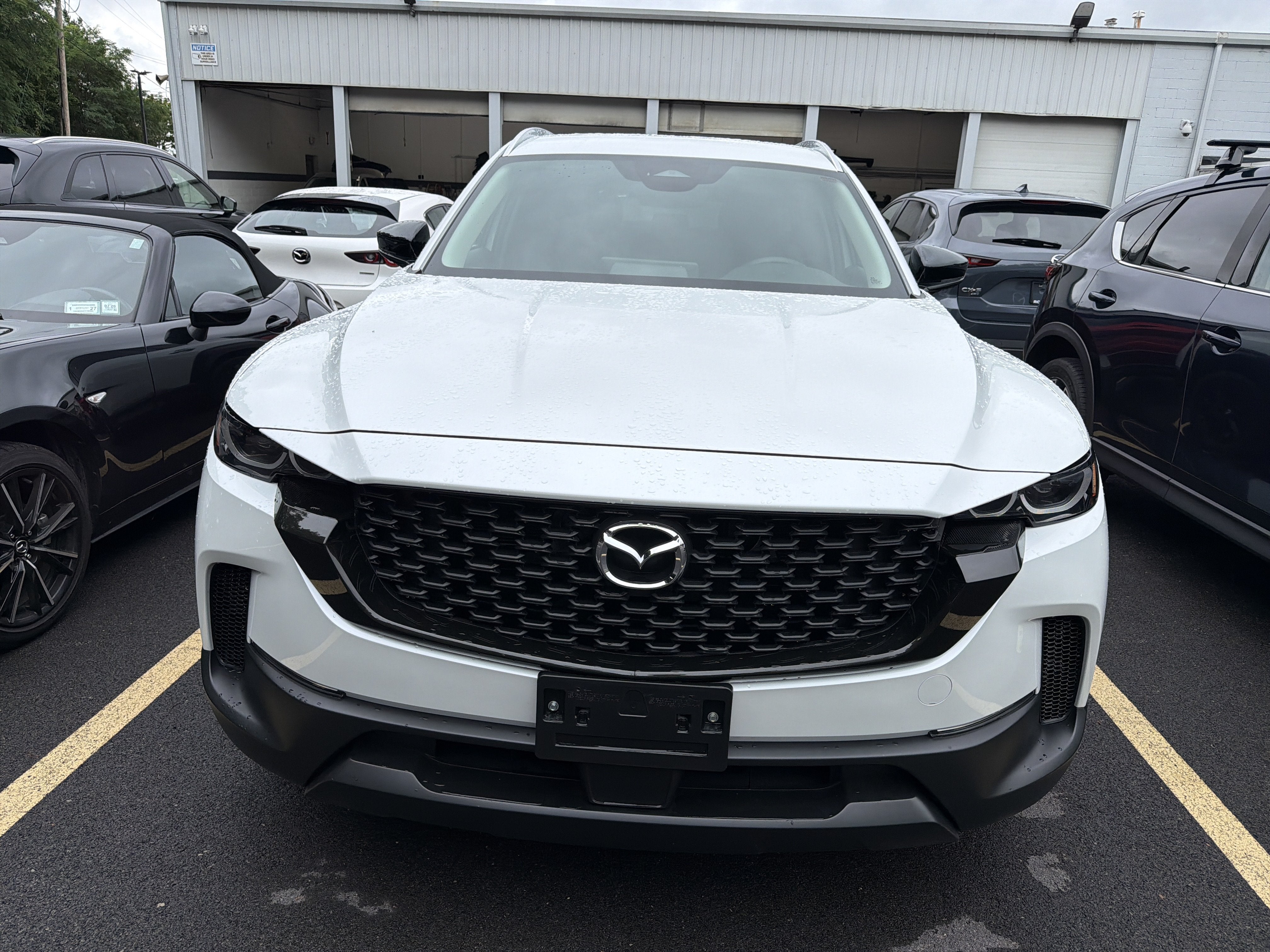 2025 Mazda Mazda CX-50 Hybrid Preferred Package AWD