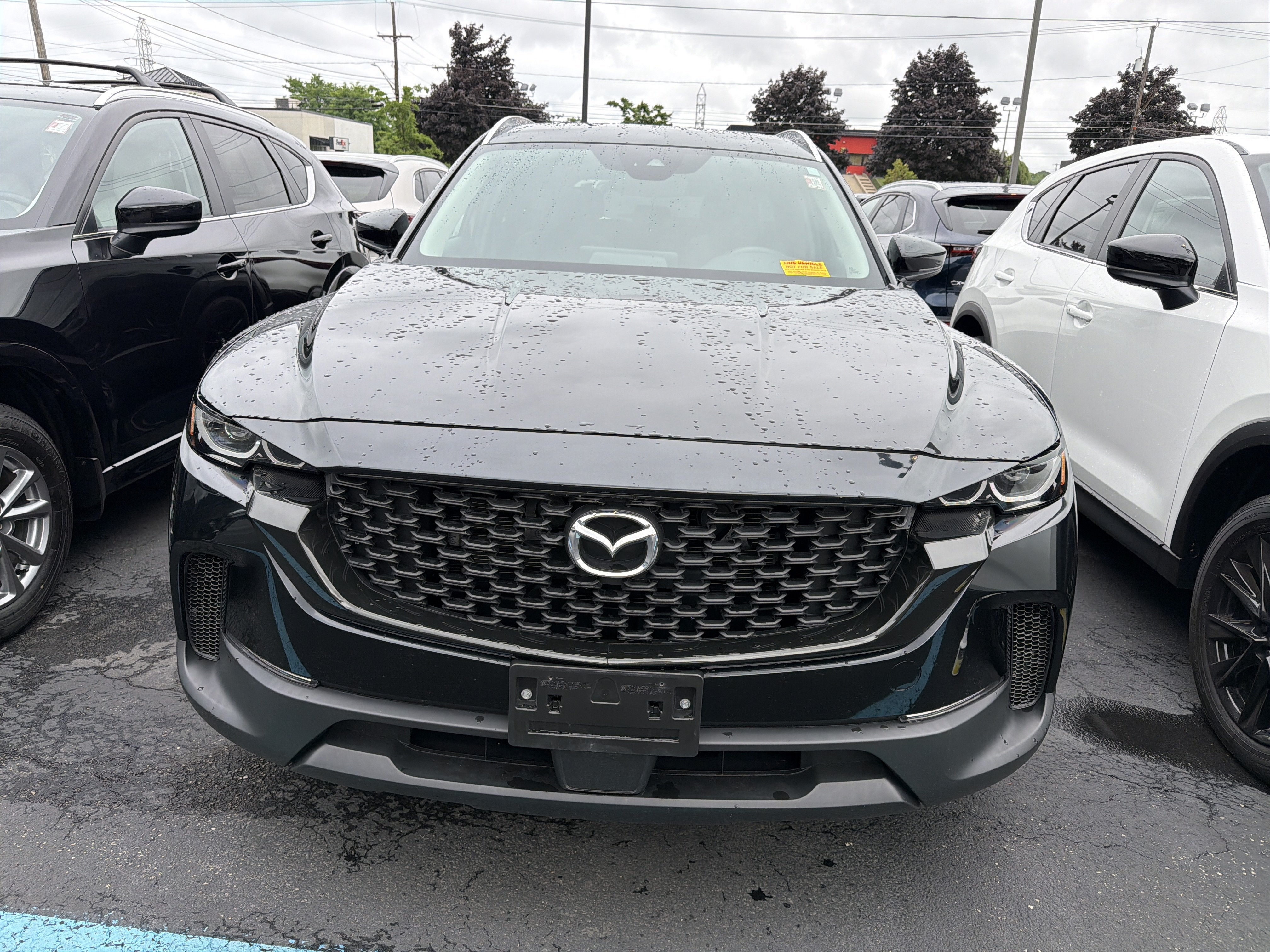 2024 Mazda Mazda CX-50 2.5 S Premium Package AWD