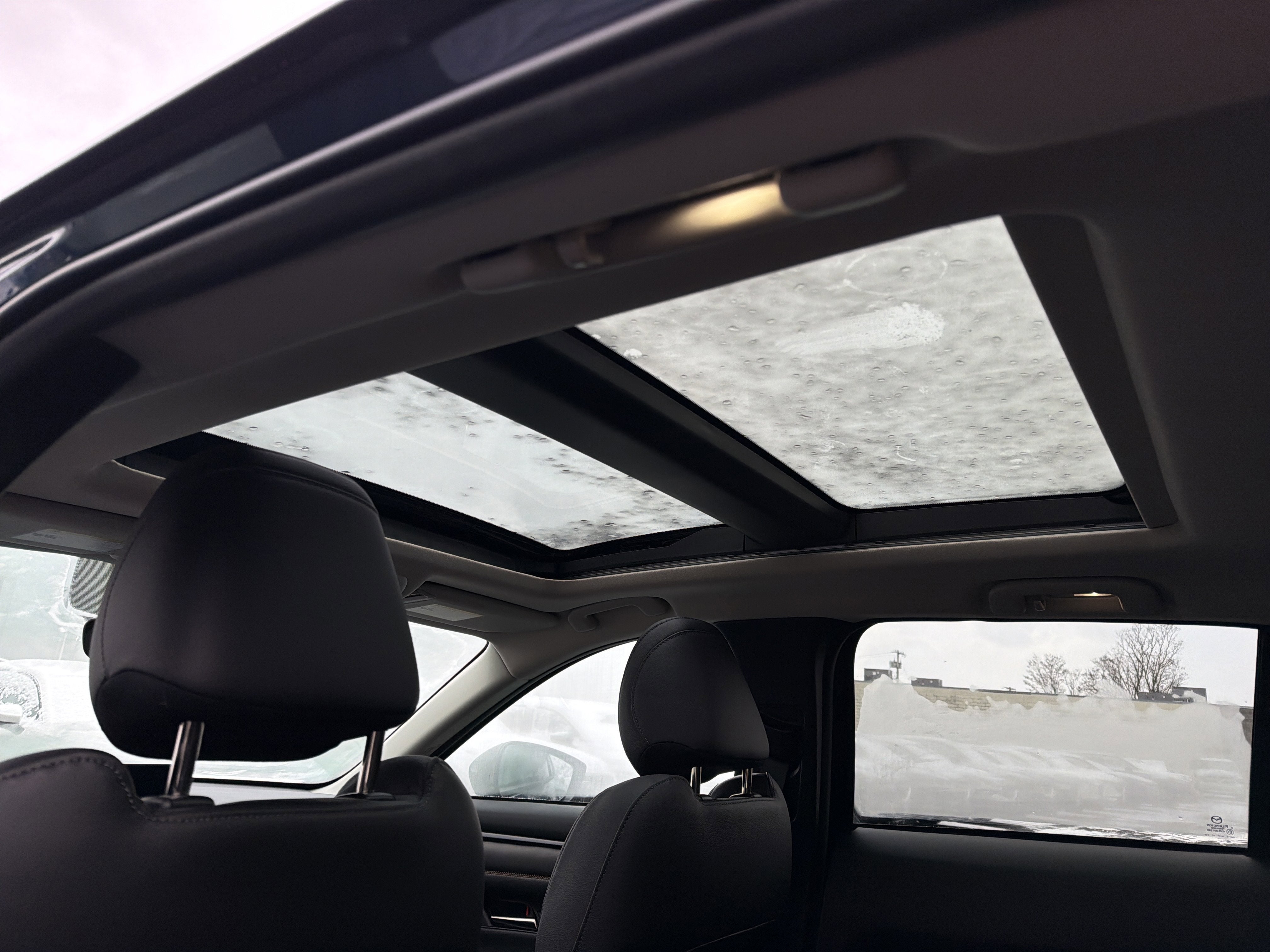 2025 Mazda Mazda CX-50 2.5 S Premium Plus Package