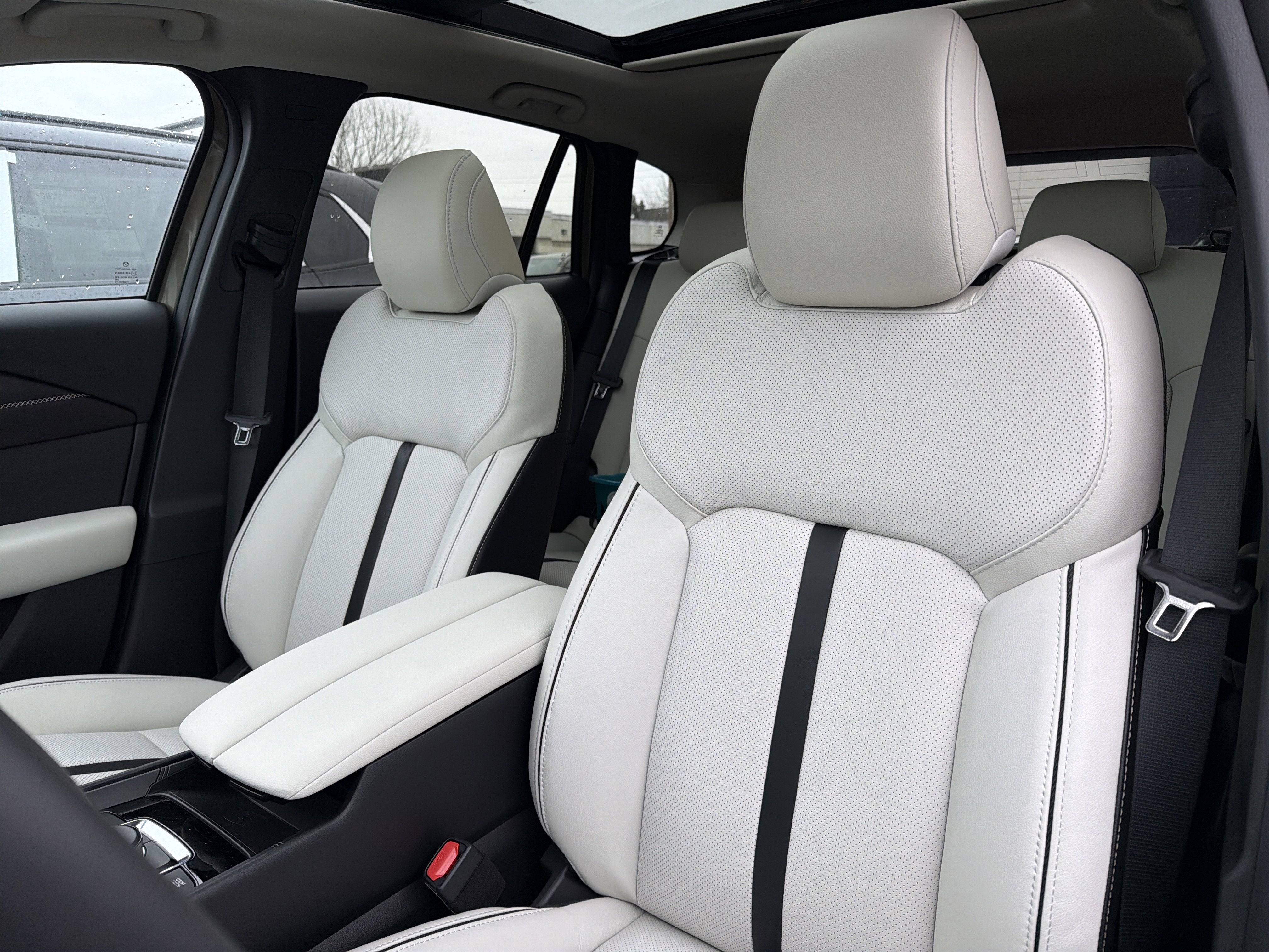 2026 Mazda Mazda CX-50 2.5 Turbo Premium Plus AWD