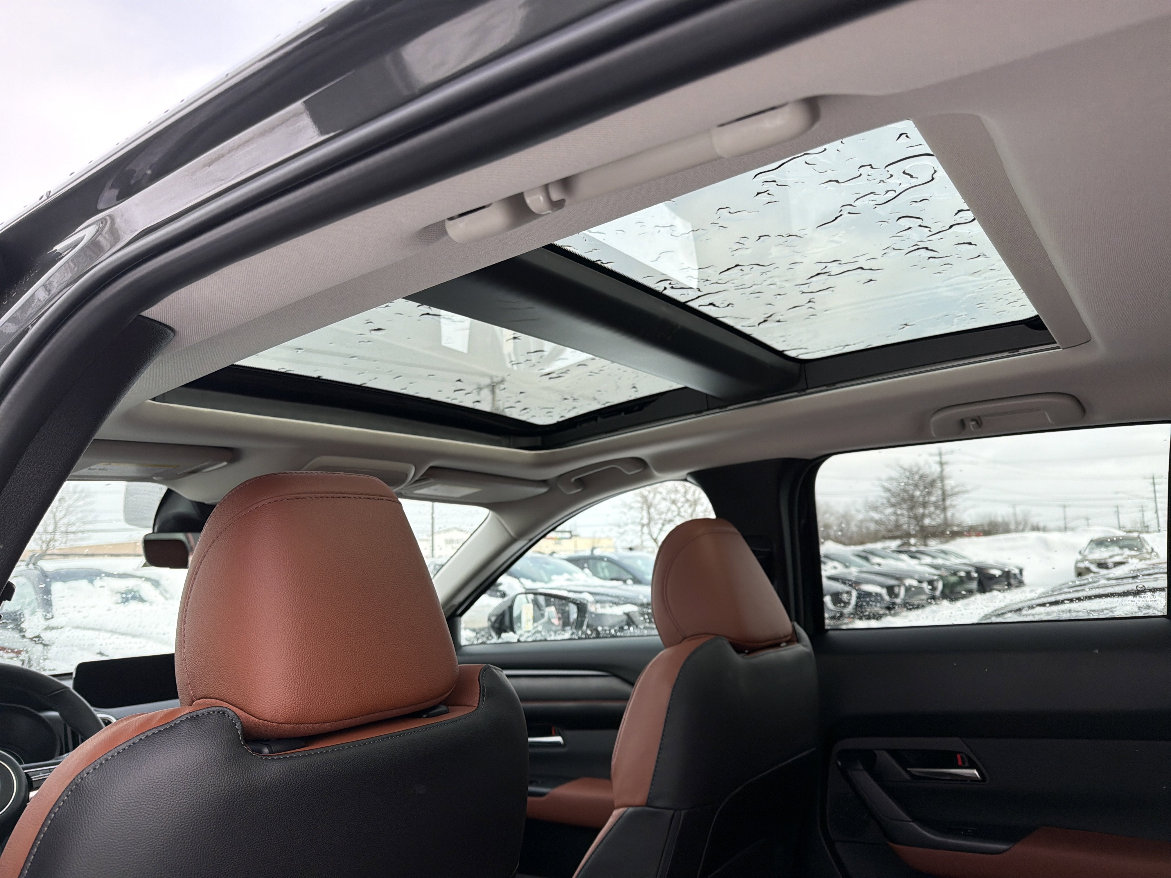 2026 Mazda Mazda CX-50 2.5 Turbo Premium Plus AWD