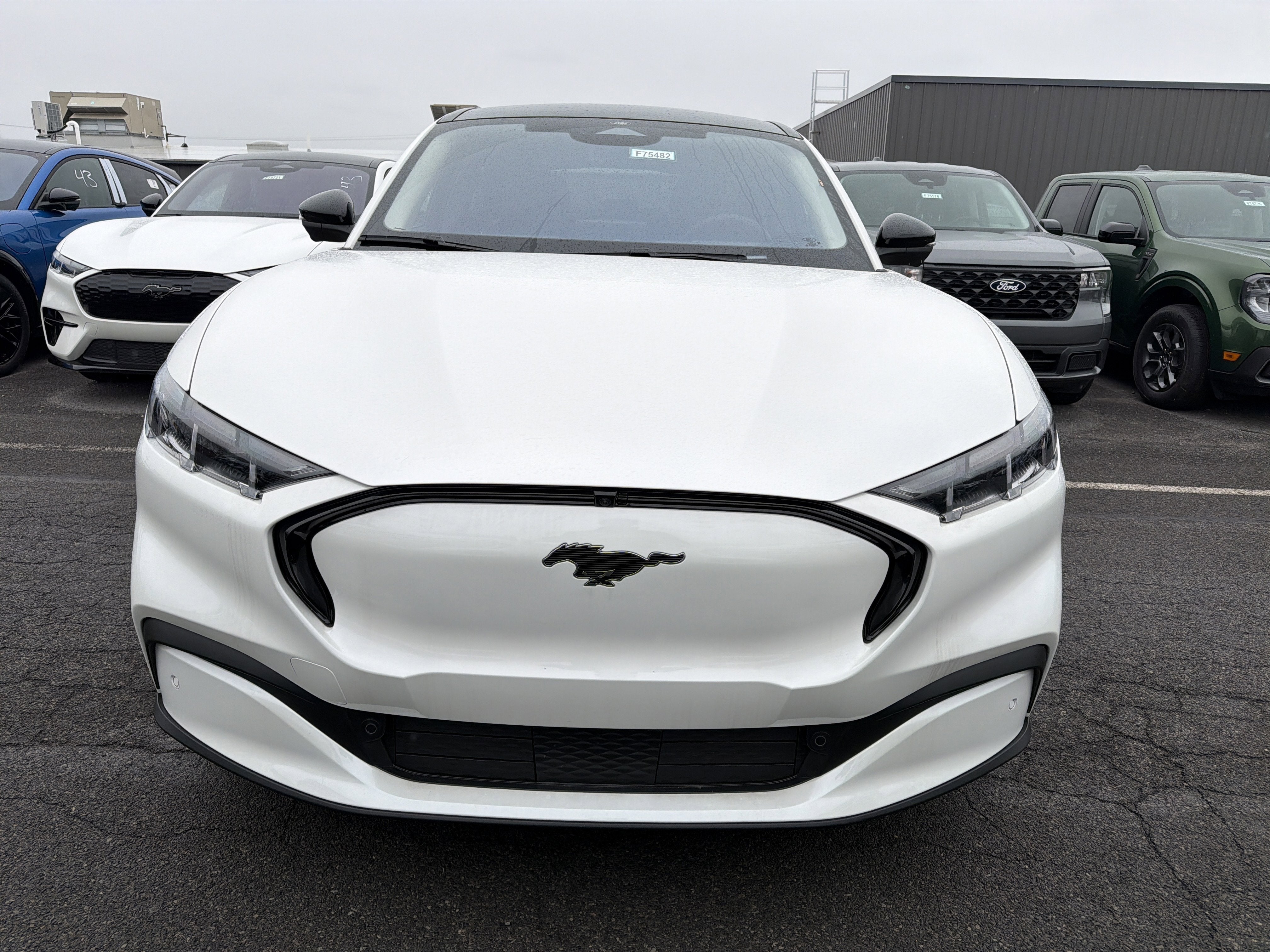 2025 Ford Mustang Mach-E Premium