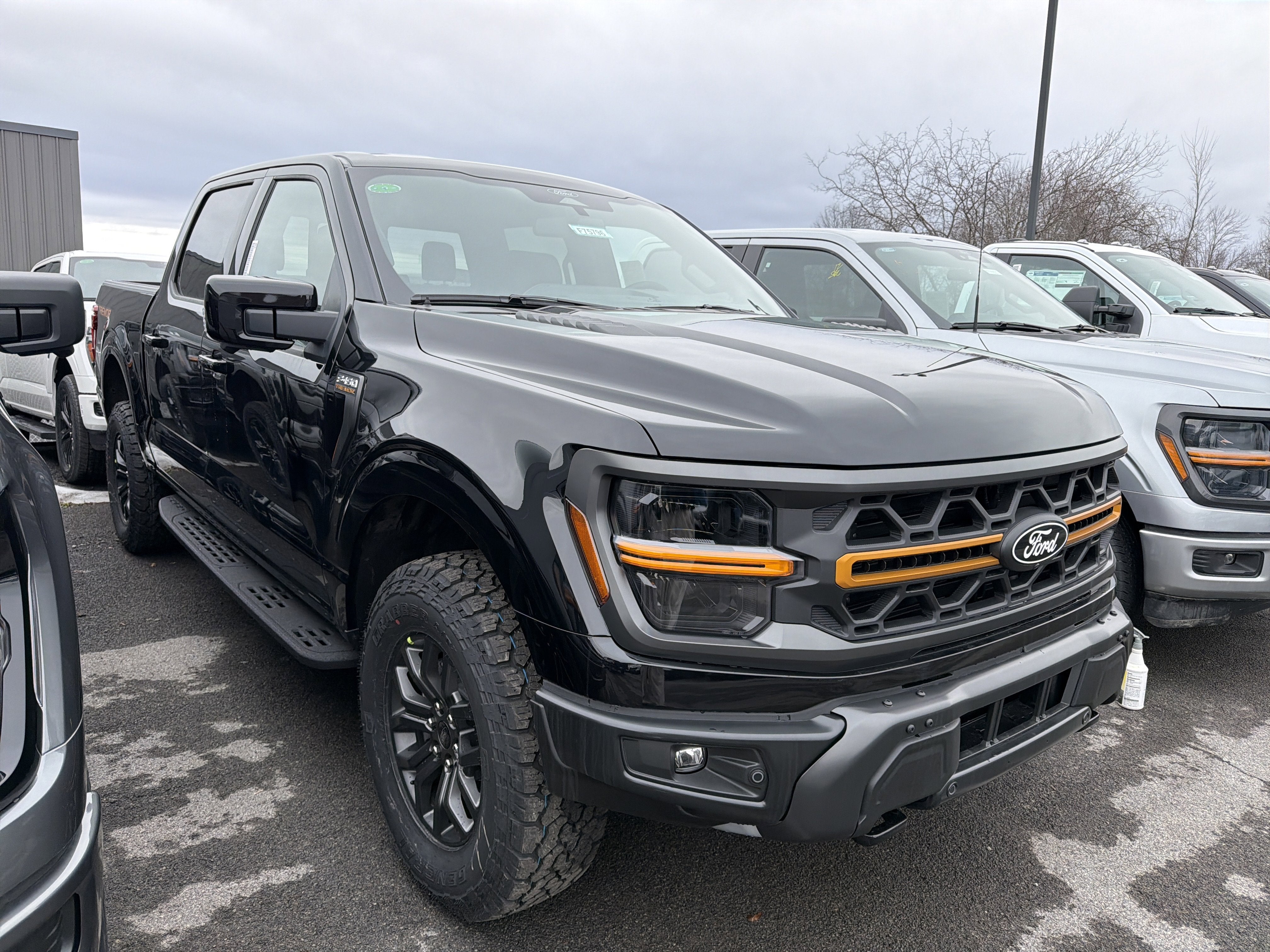 2025 Ford F-150 Tremor®